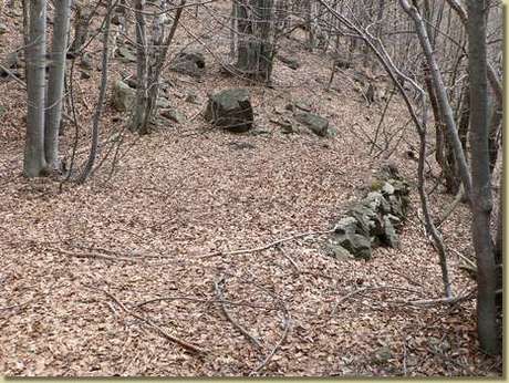  Image name: 38 Carbonai.jpg 
 width: 460 pixel 
 height: 346 pixel 
 Size: 46282 bytes 
 Click to enlarge 